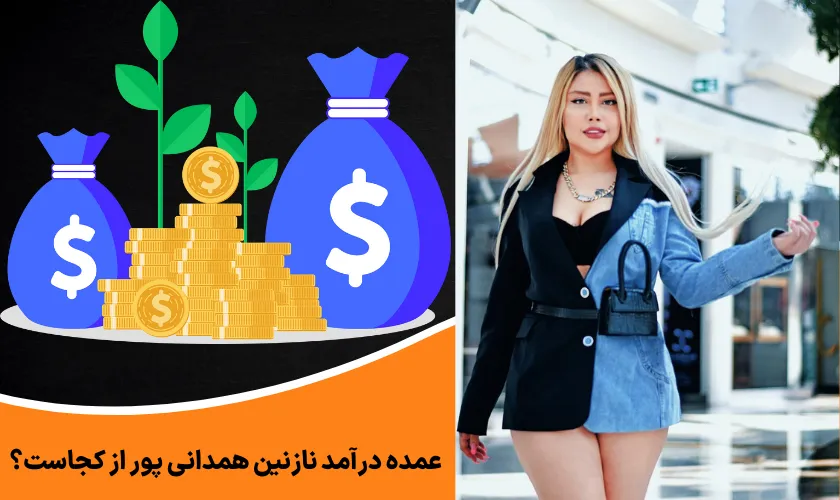 عمده درآمد نازنین همدانی پور از کجاست؟