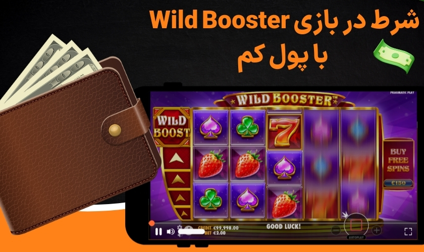 شرط در بازی Wild Booster با پول کم